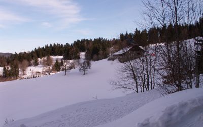 Semaine de ski du lycée Camille Claudel